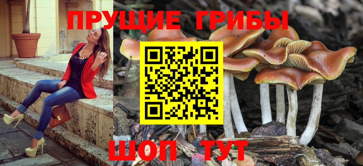 Галлюциногенные грибы Psilocybe  Вход с VPN  Долгопрудный 