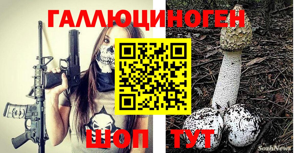 Псилоцибиновые грибы мицелий Долгопрудный